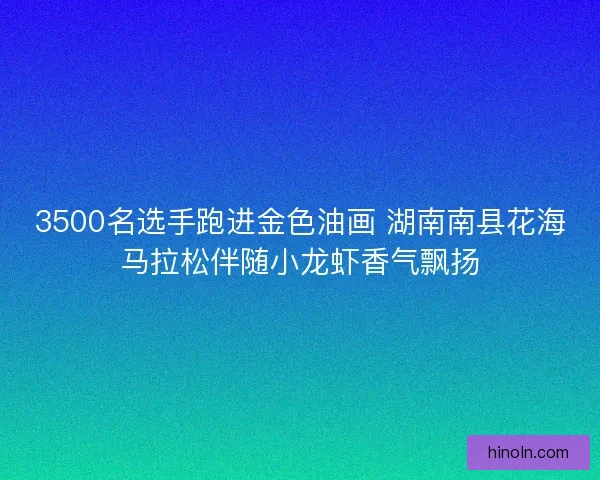 3500名选手跑进金色油画 湖南南县花海马拉松伴随小龙虾香气飘扬